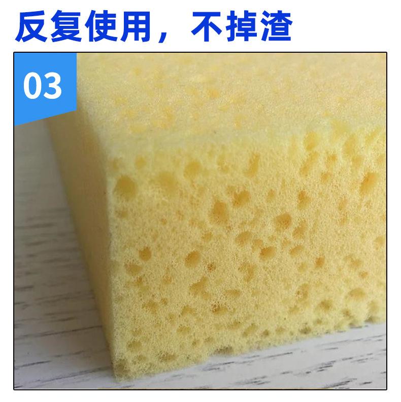 海绵孔隙特写